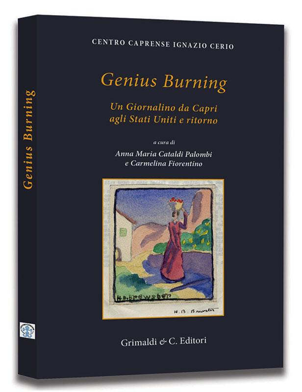 Genius Burning rilegati antichi manuali libreria libri 
