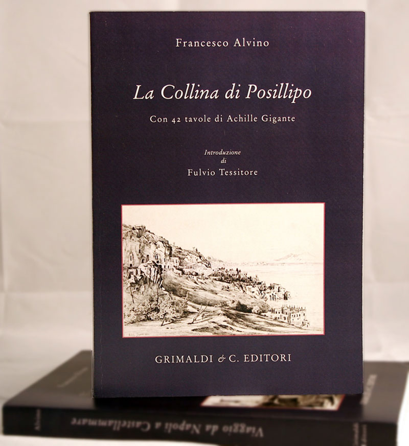 La Collina di Posillipo Ristampa della rara edizione del 1845  A cura di Fulvio Tessitore freddi firenze vendita umberto edizioni 
